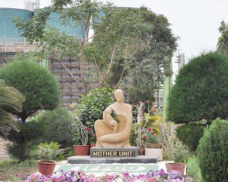 kalol